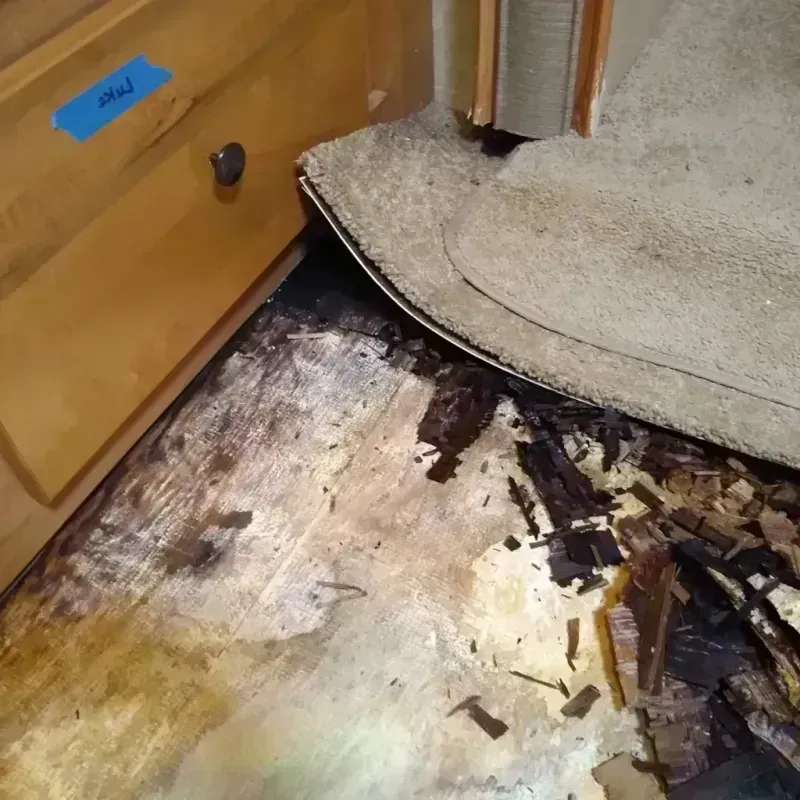 Wood Floor Water Damage in Granger, WA